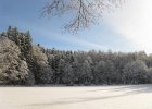 IMG 4619    Der zugefrorene Holzweiher